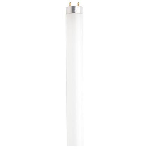 32 Watt 4100K T8 Fluorescent Light Bulb by Satco