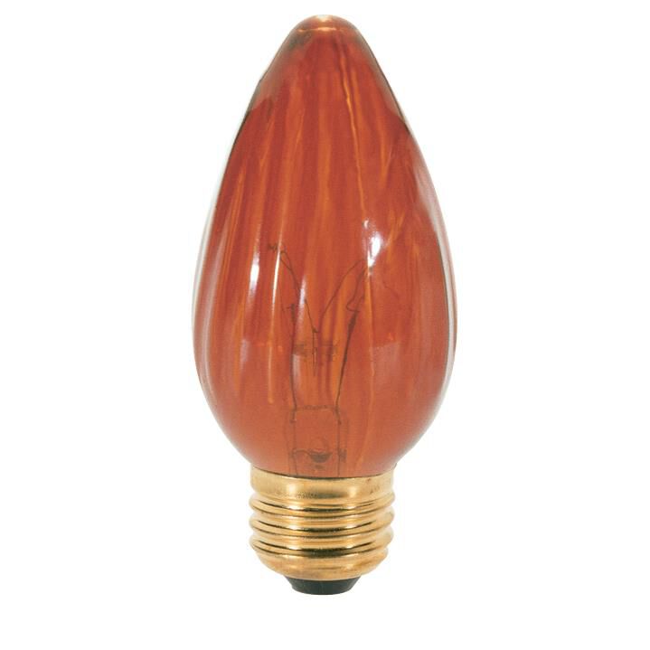 40 Watt Incandescent Light Bulb,