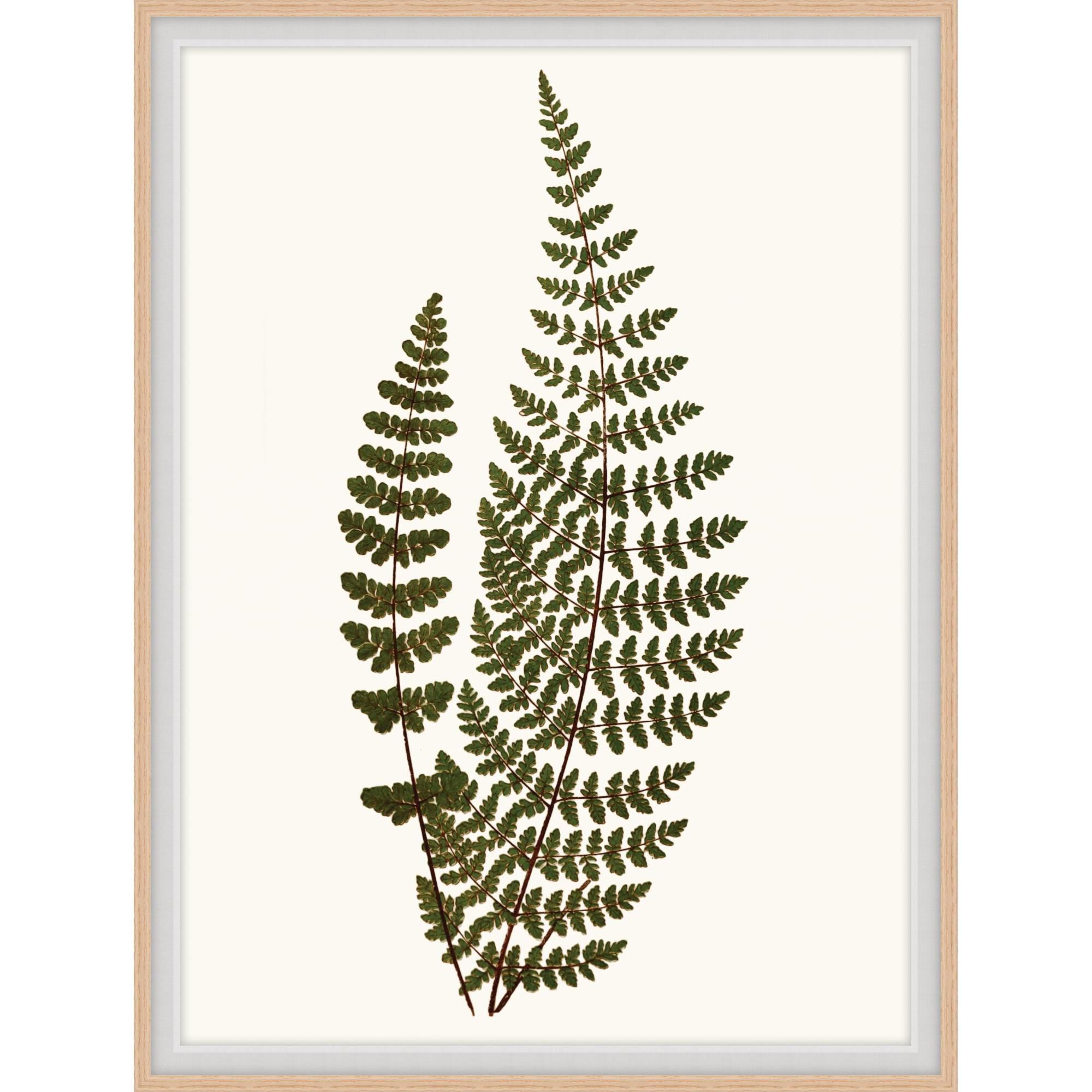 Studio L57 Nouvelle Elevated Undergrowth Print by LEVEL57