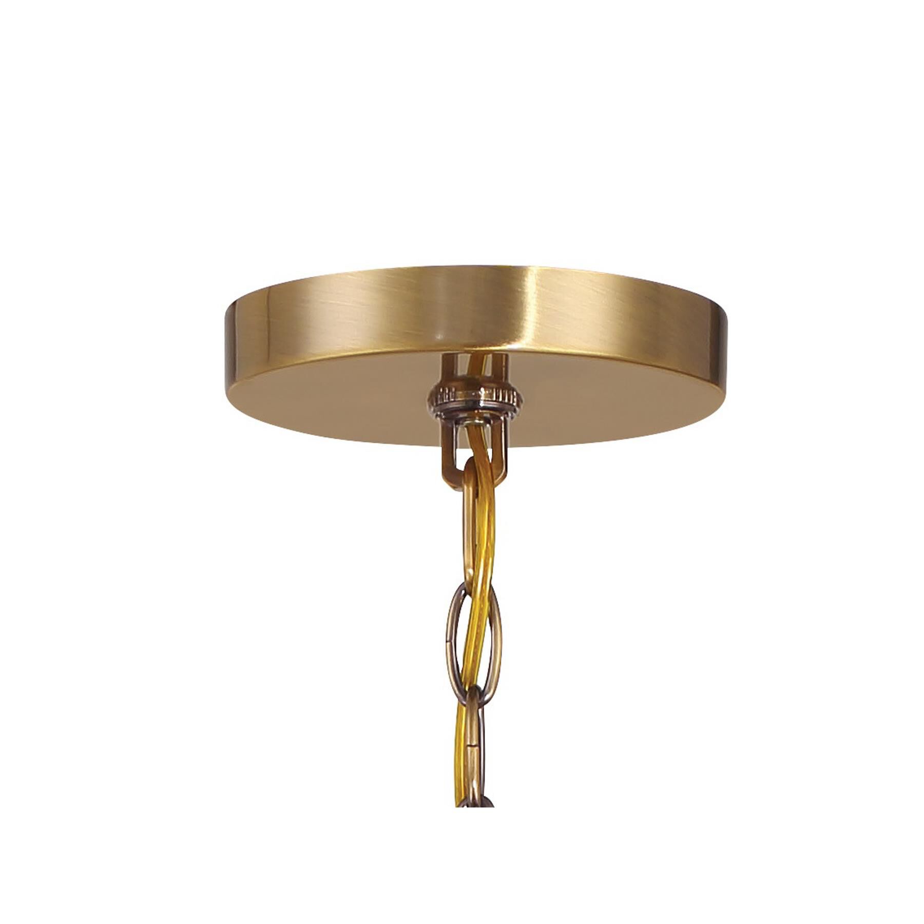 Van Noord 32 Inch Chandelier by Minka Lavery