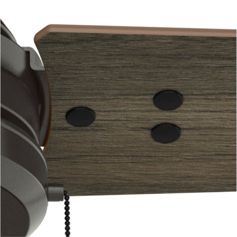 Cassius 52 Inch Ceiling Fan by Hunter Fan