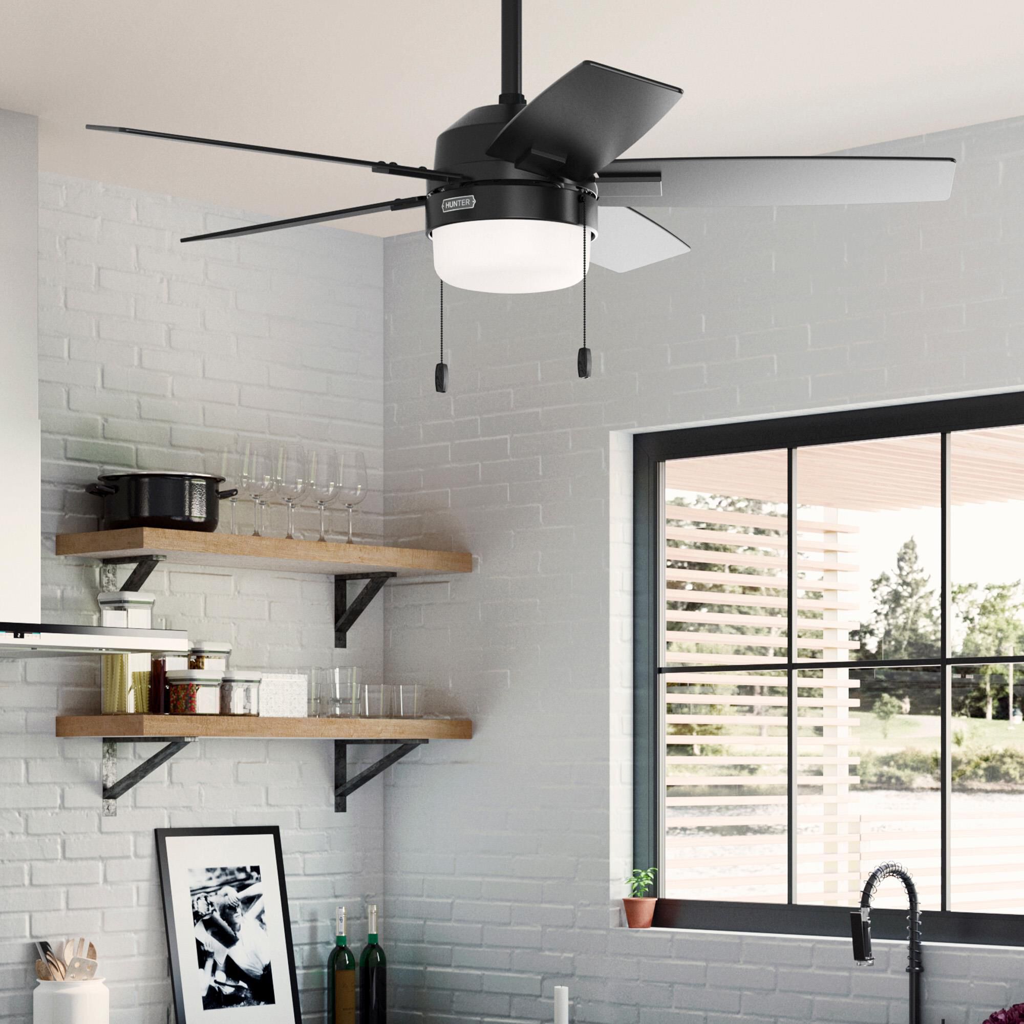 Anisten 44 Inch Ceiling Fan by Hunter Fan