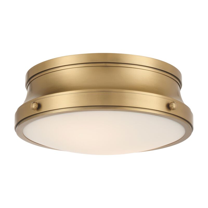 Purelight 15 Inch Flush Mount by Minka Lavery