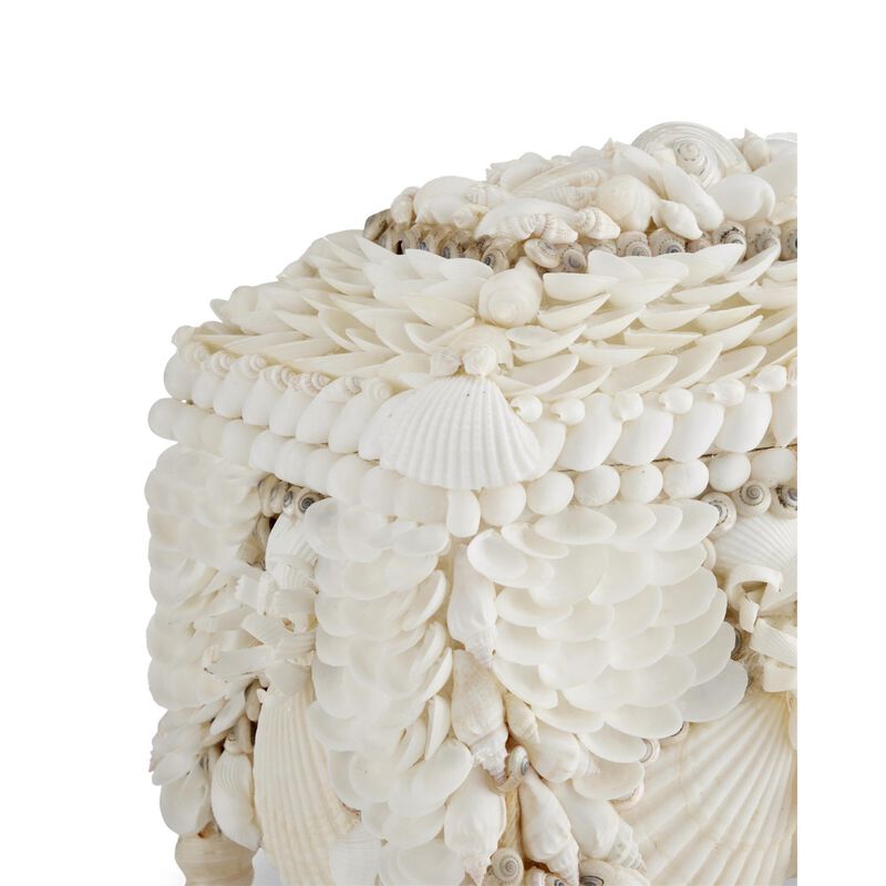 Boardwalk White Shell Jewelry Box Accent Box by Currey and Company
