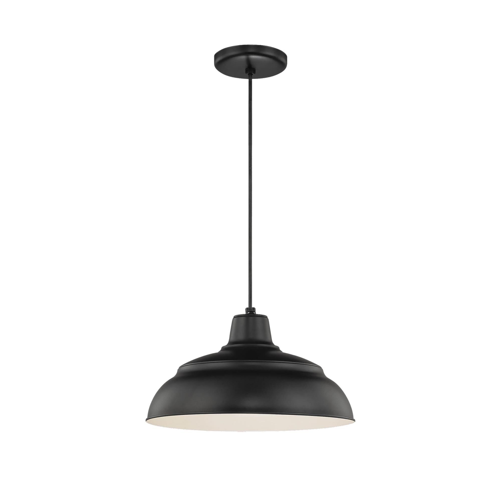 Millennium Lighting R Series 14 Inch Large Pendant