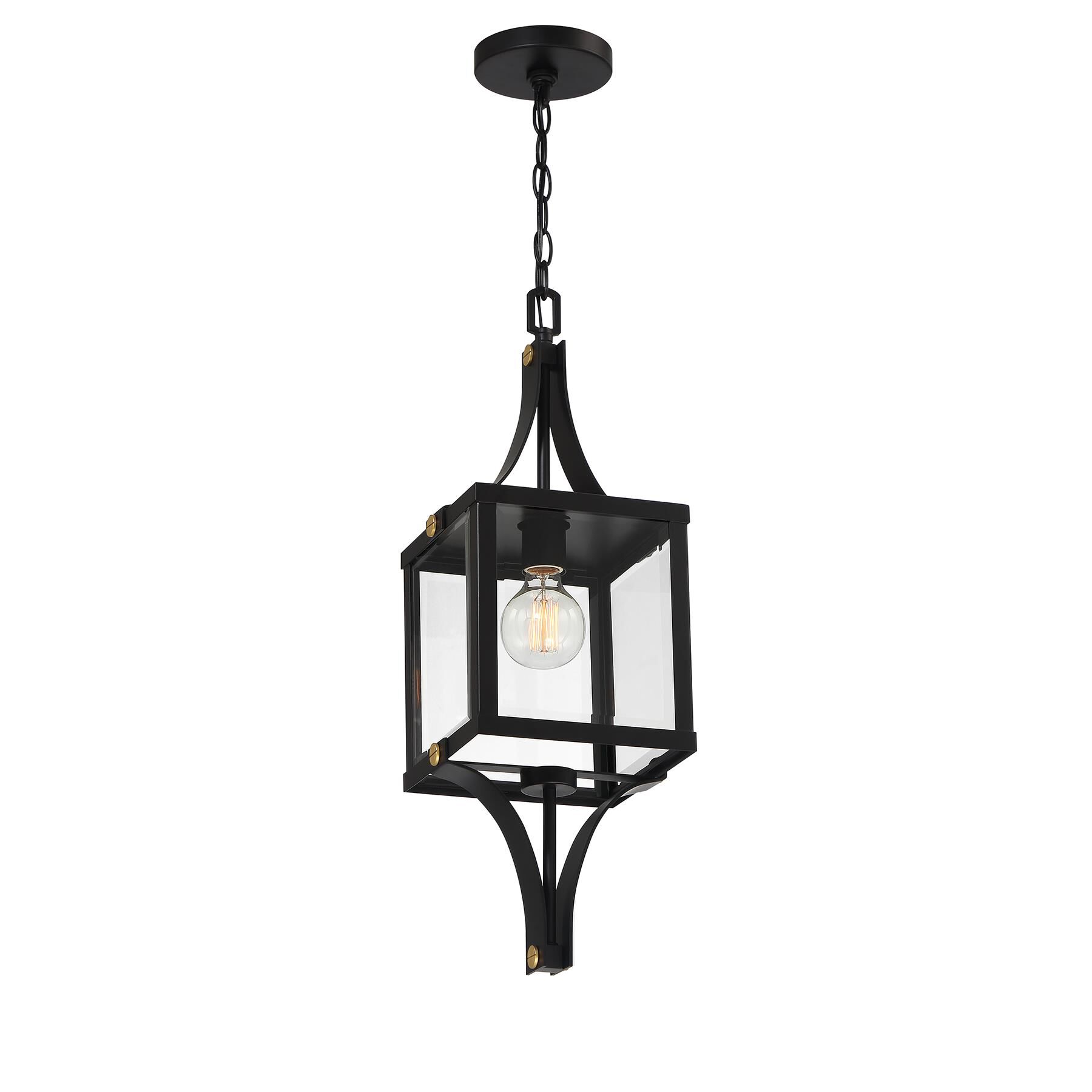 Raeburn 9 Inch Outdoor Hanging Lantern by Savoy House