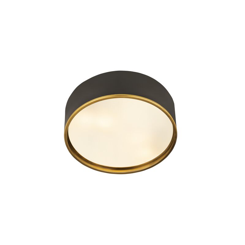 Arlo 20 Inch 4 Light Flush Mount by Z-Lite