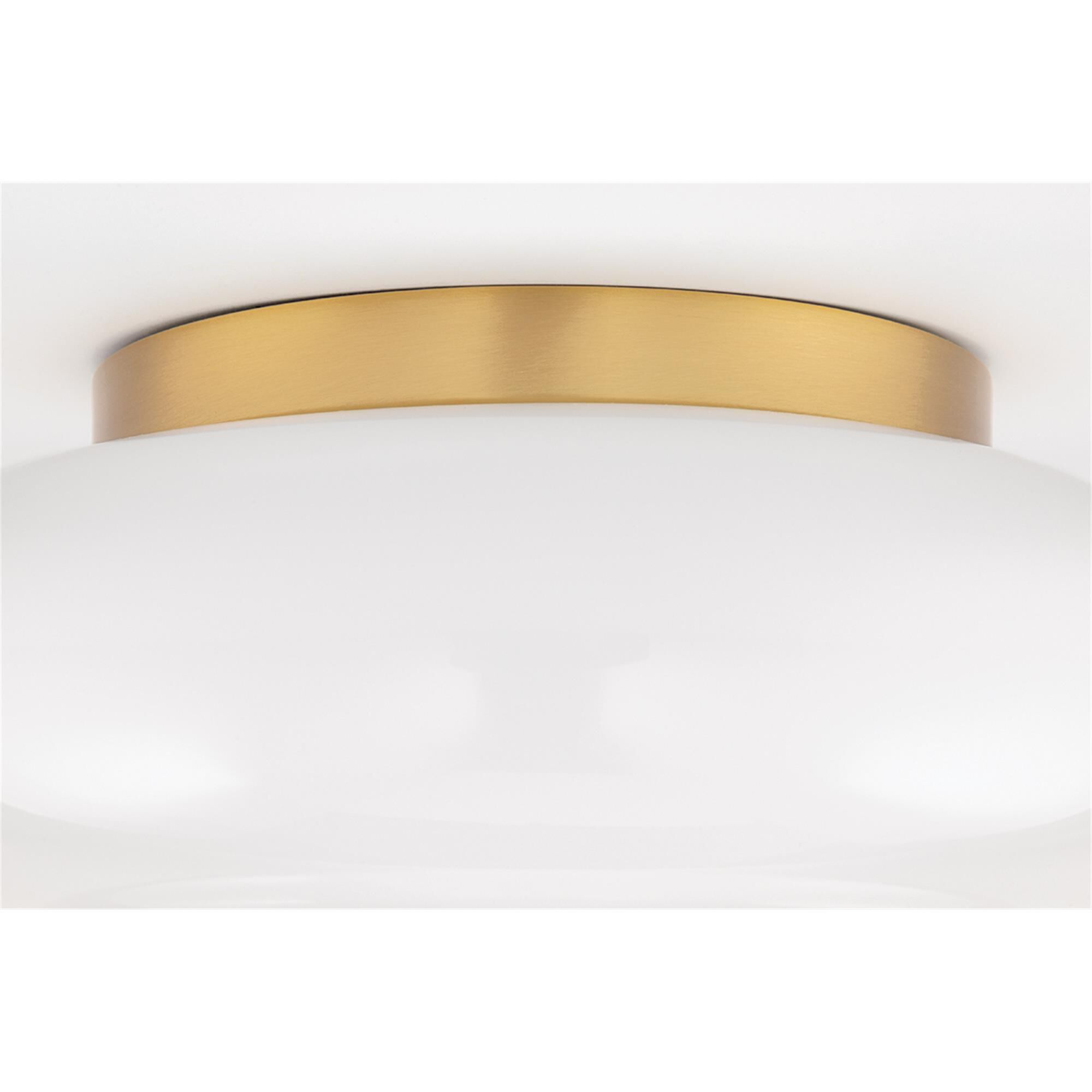 Hazel 11 Inch 2 Light Flush Mount,
