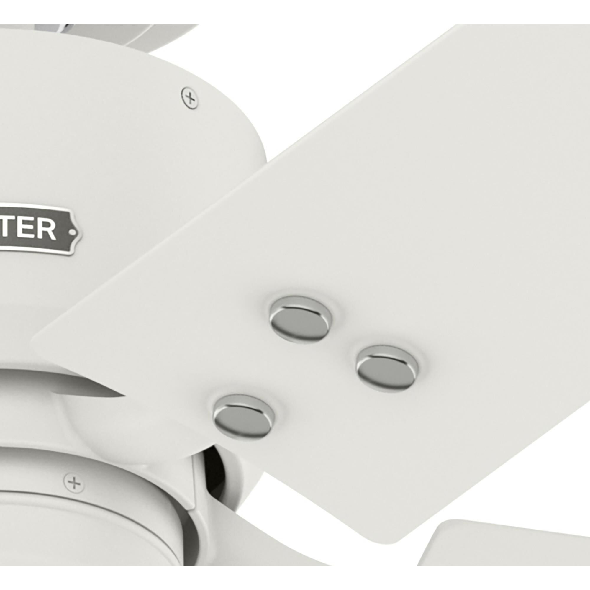 Windbound 52 Inch Ceiling Fan by Hunter Fan