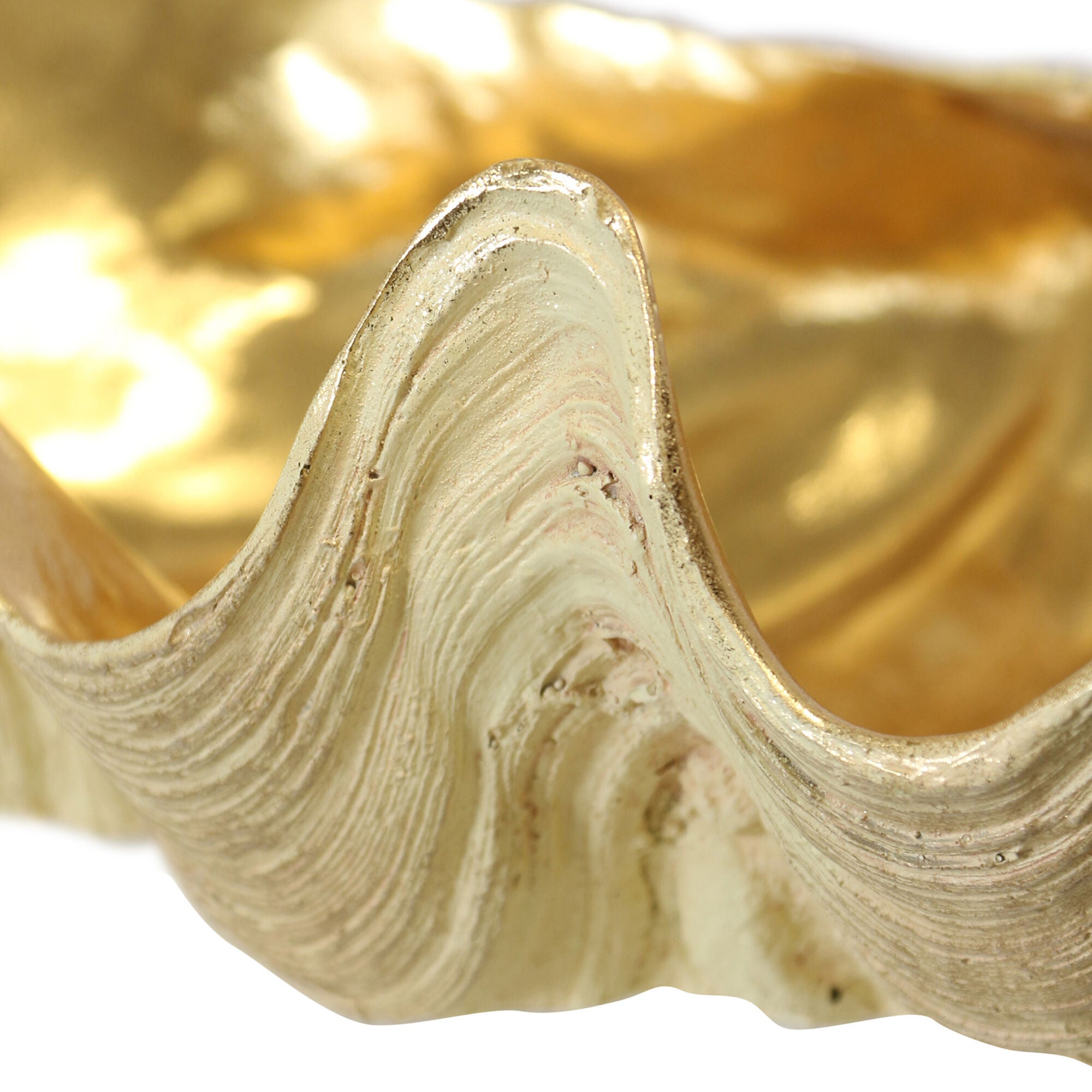 Clam Bowl,