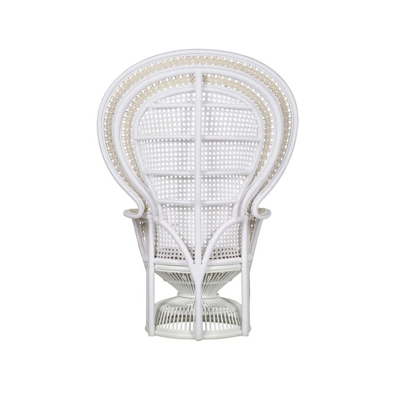 Emanuelle Accent Chair by Currey & Company