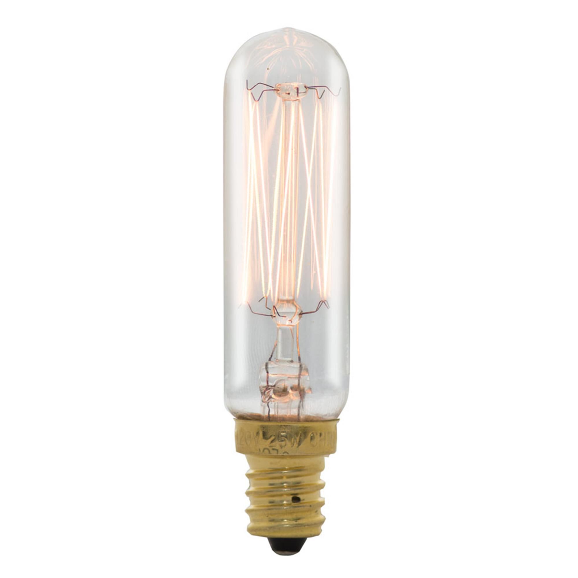25 Watt 2700K T6 Incandescent Light Bulb,