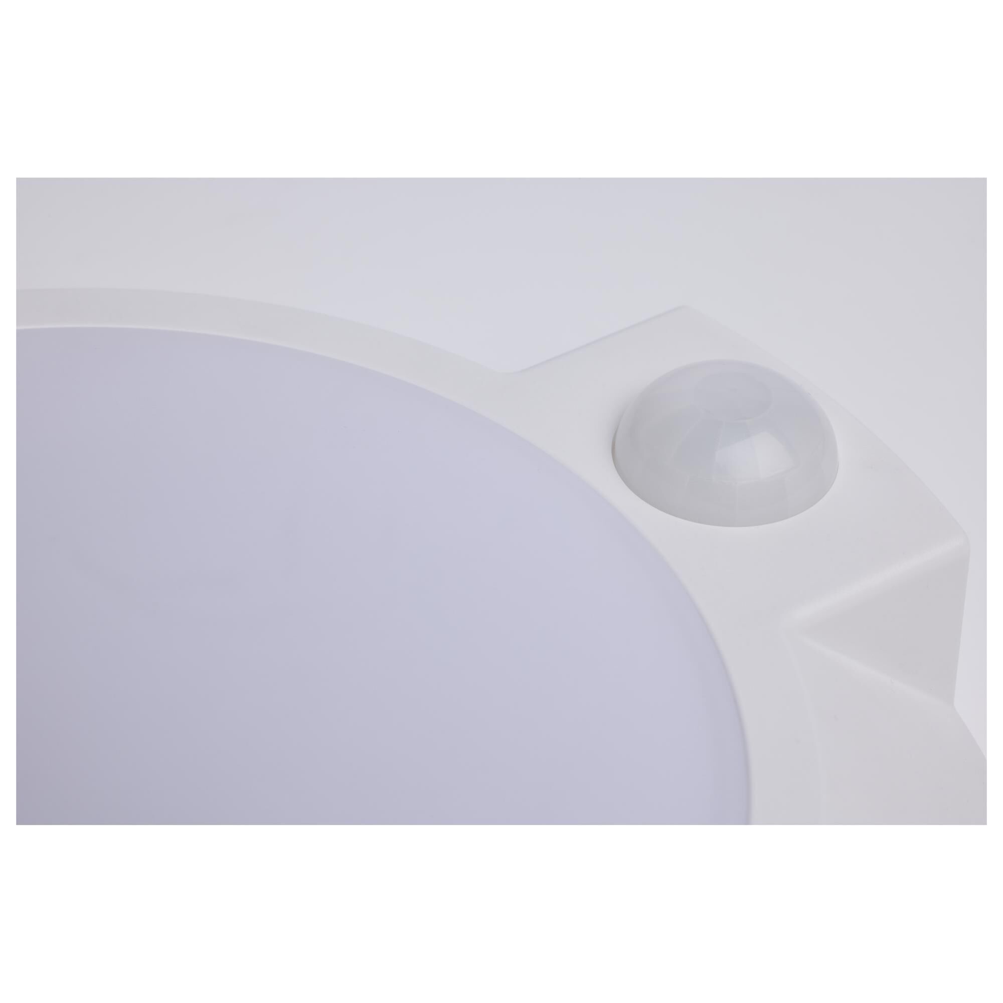 7 Inch Flush Mount by Nuvo Lighting
