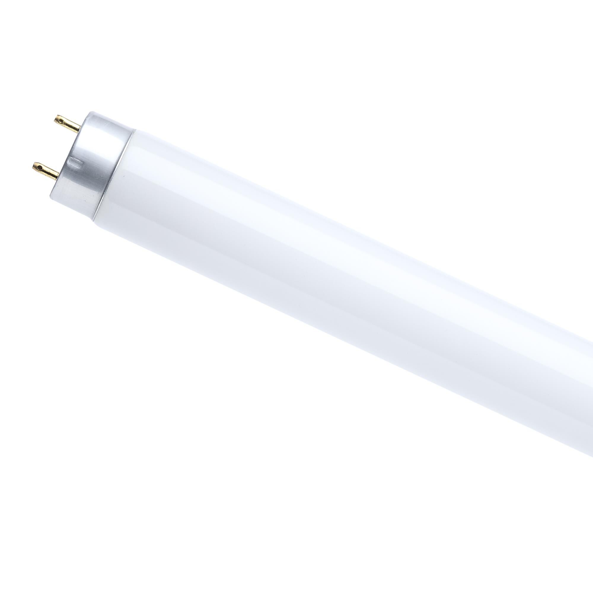 70 Watt 4000K T8 Fluorescent Light Bulb by Satco