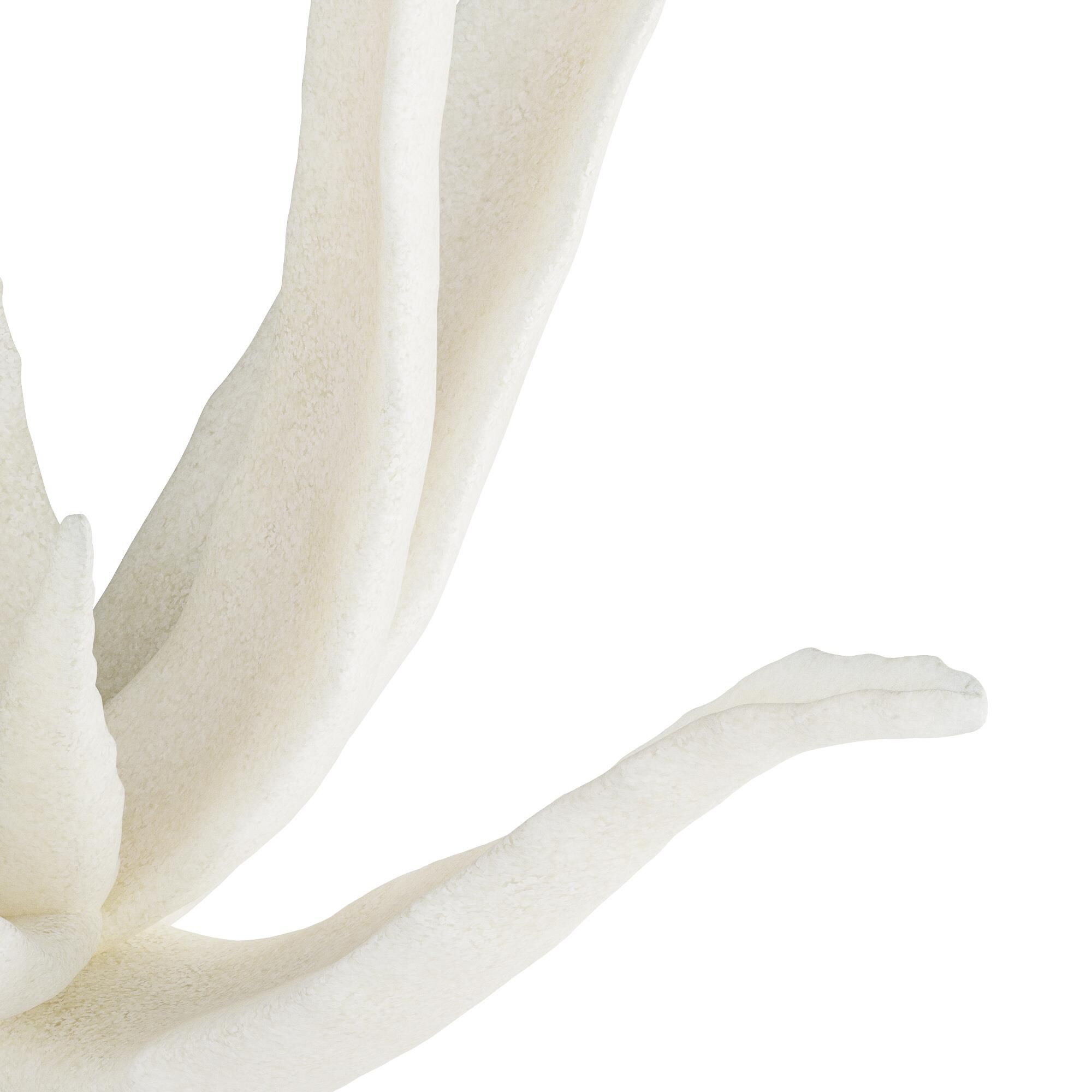 Shown in Ivory finish