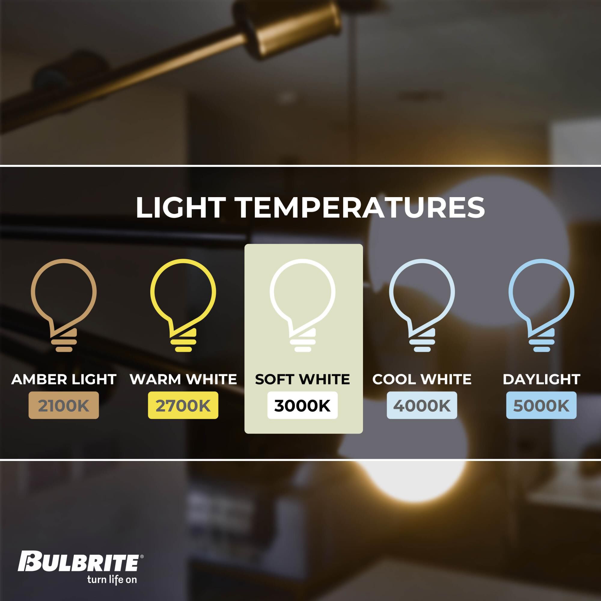 7 Watt 3000K A15 LED Light Bulb by Bulbrite