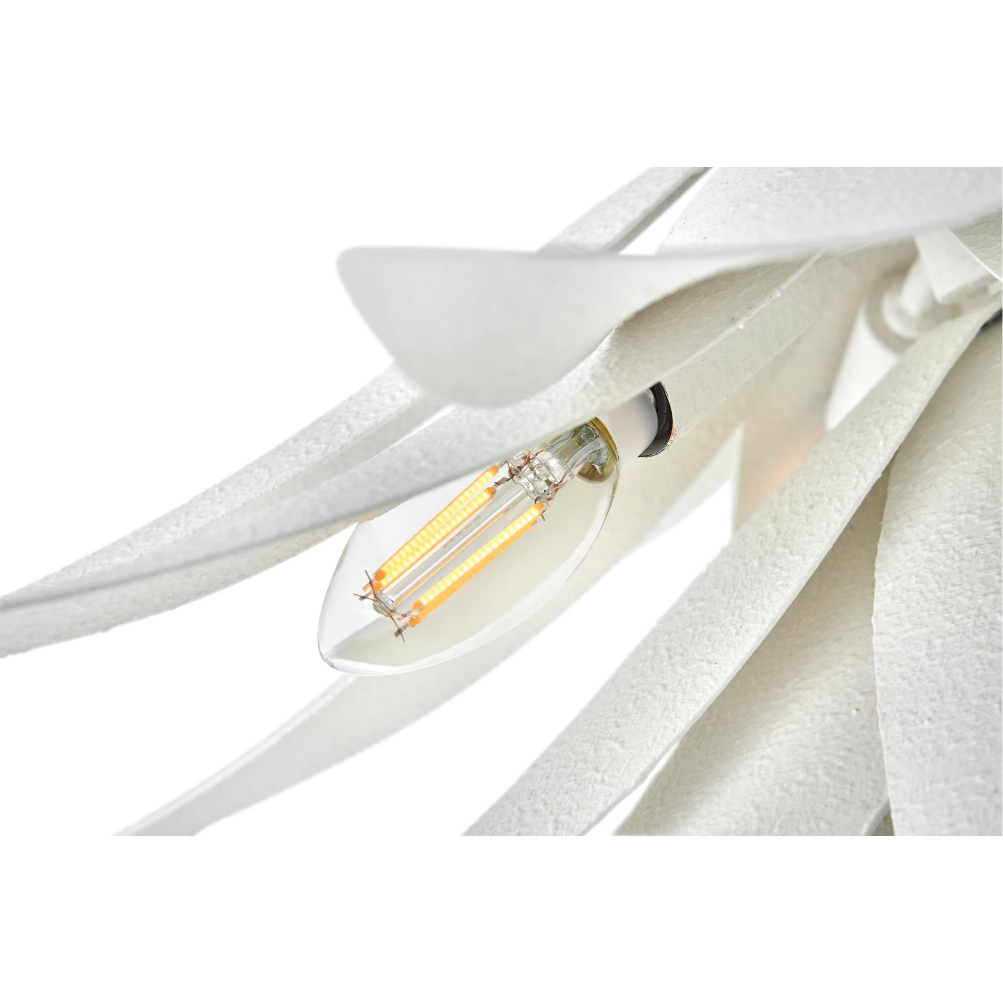 Agave 26 Inch 7 Light Chandelier by Fredrick Ramond