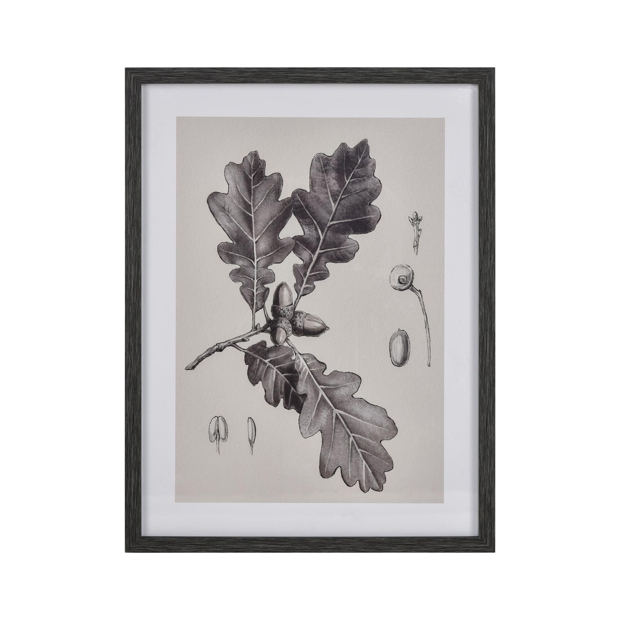 Oak Botanic Alternative Wall Art by ELK Home
