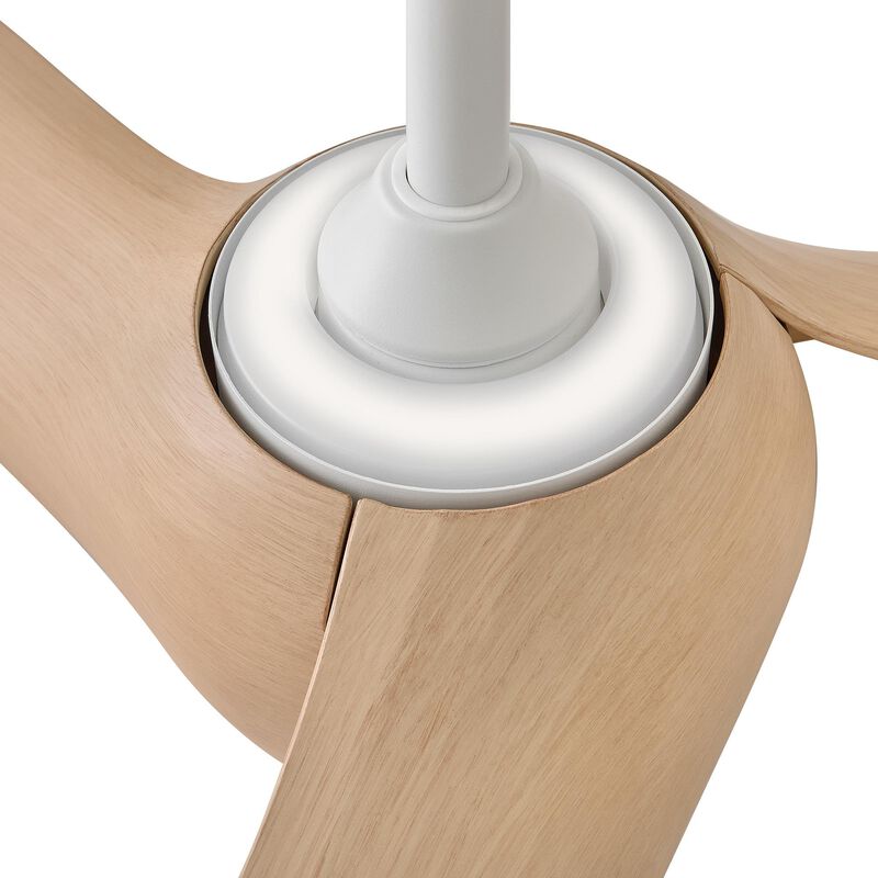Tiburon 56 Inch Ceiling Fan with Light Kit by Hinkley