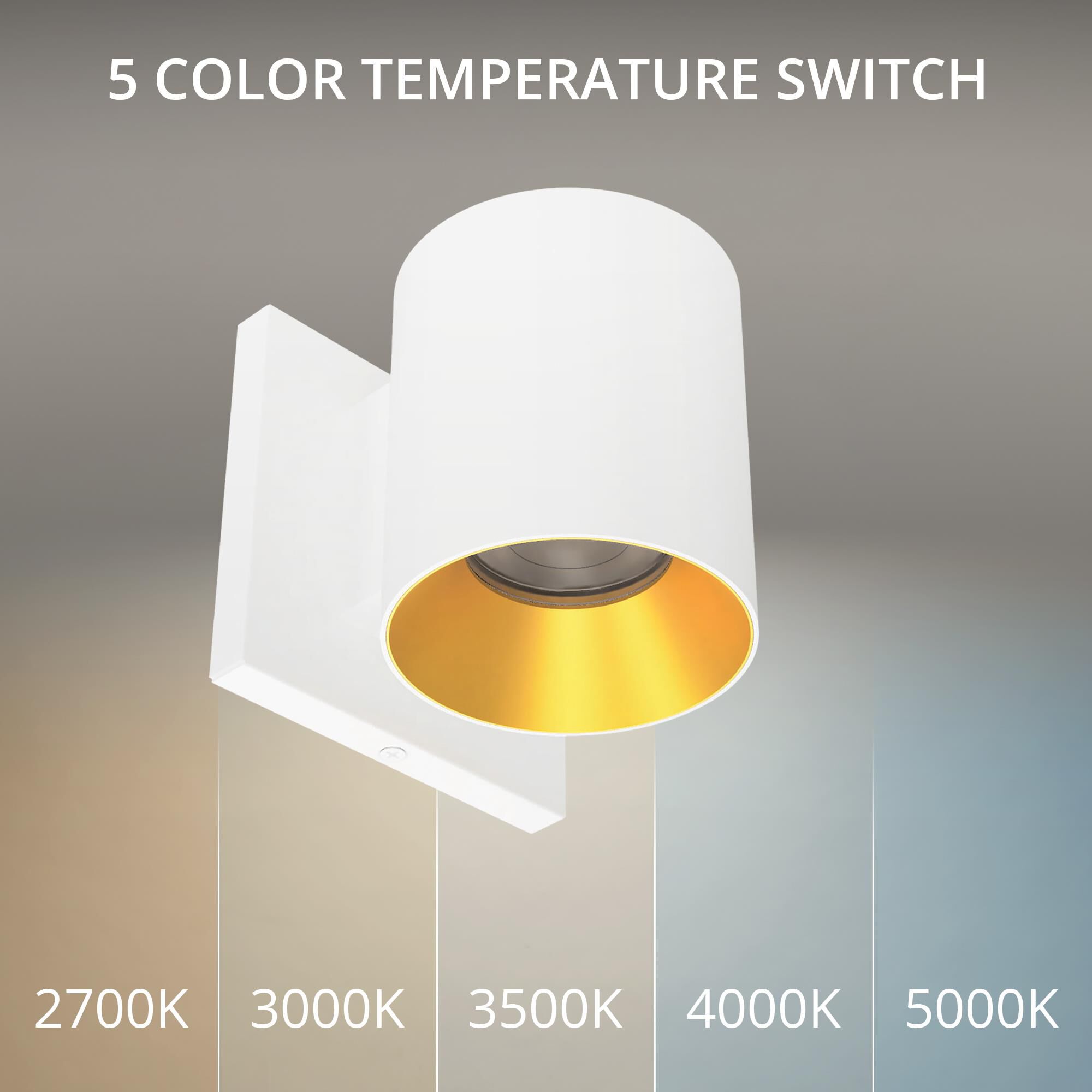 Zoron 4 Inch Outdoor Wall Light by WAC Lighting