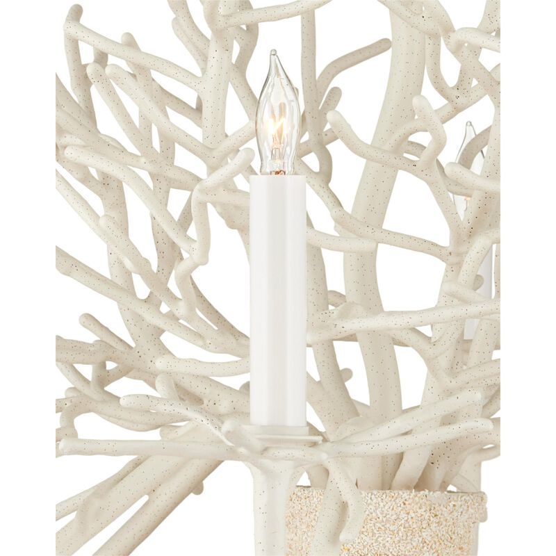 Bayside 29 Inch 6 Light Chandelier by Currey and Company