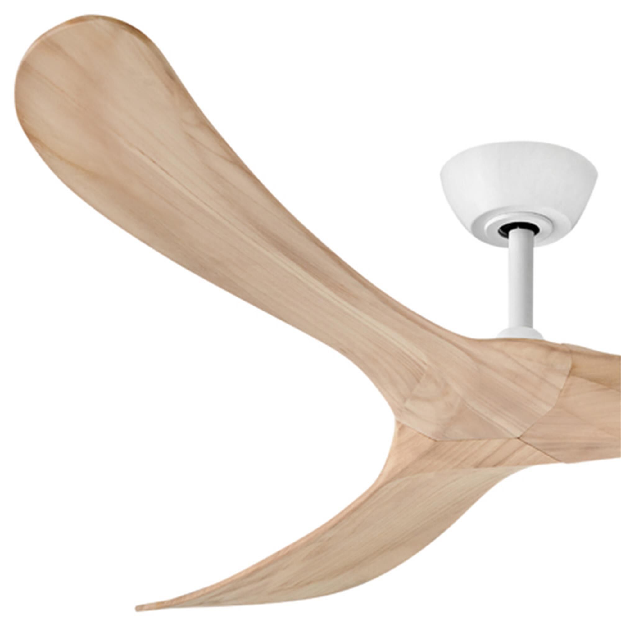 Swell 60 Inch Ceiling Fan,