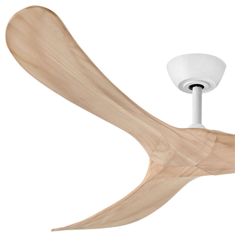 Swell 60 Inch Ceiling Fan by Hinkley