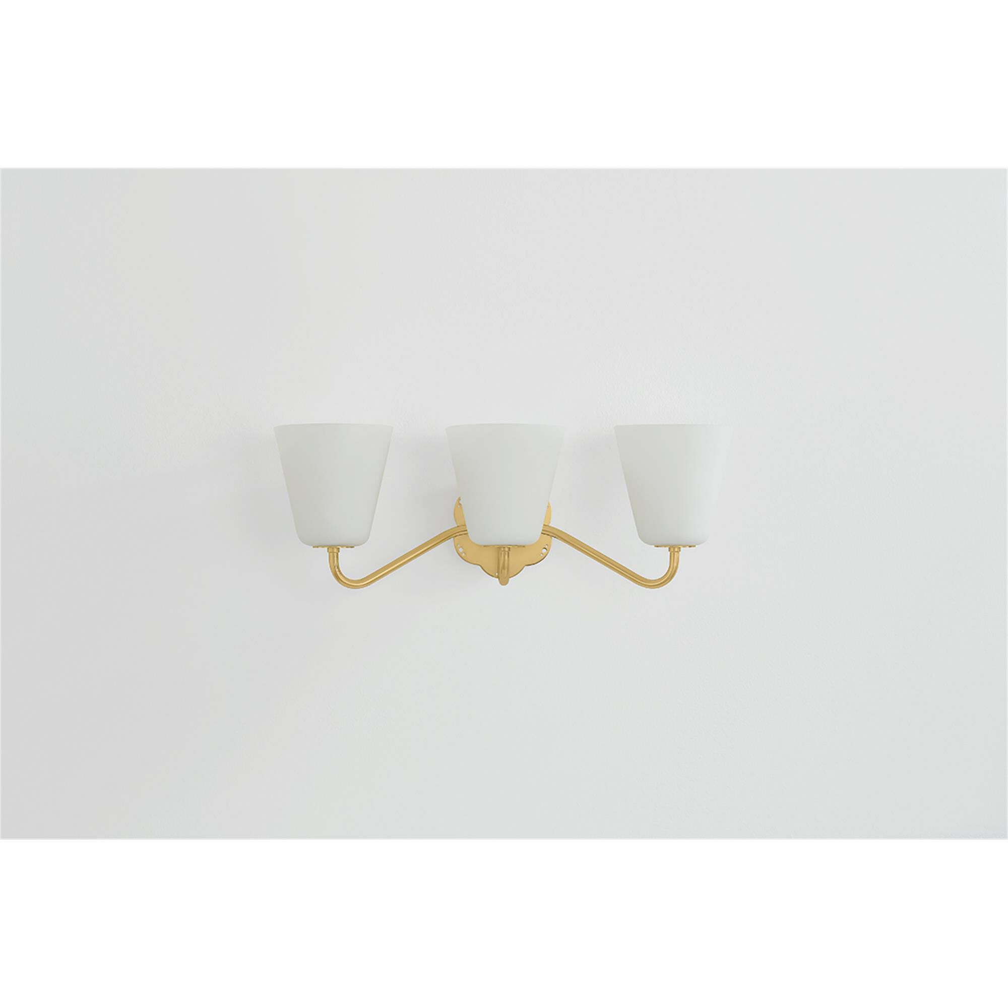 Leonella 24 Inch 3 Light Bath Vanity Light,