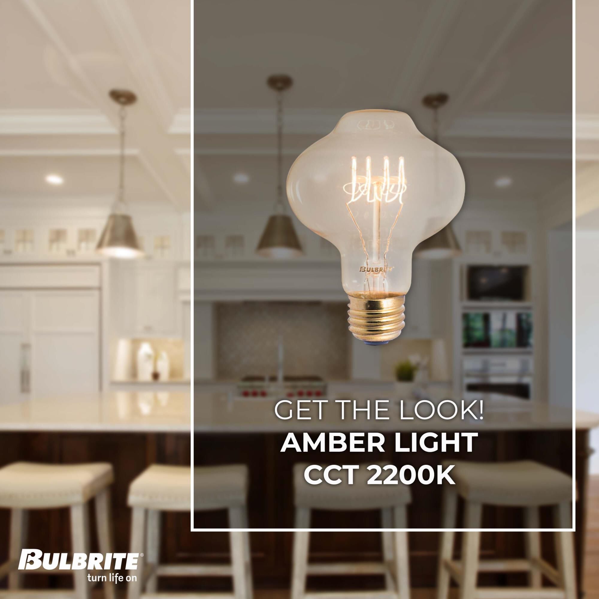 40 Watt 2200K T2 Incandescent Light Bulb by Bulbrite