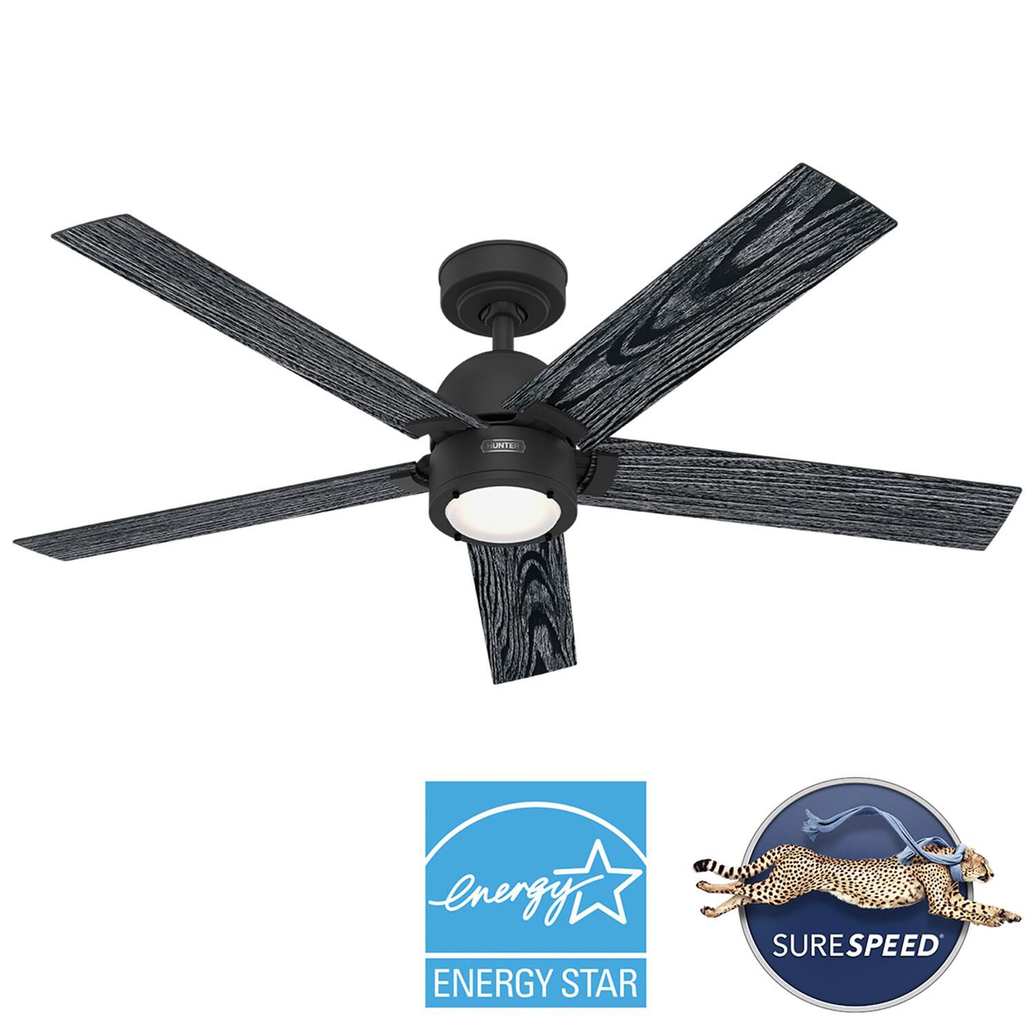 Erling 52 Inch Ceiling Fan by Hunter Fan