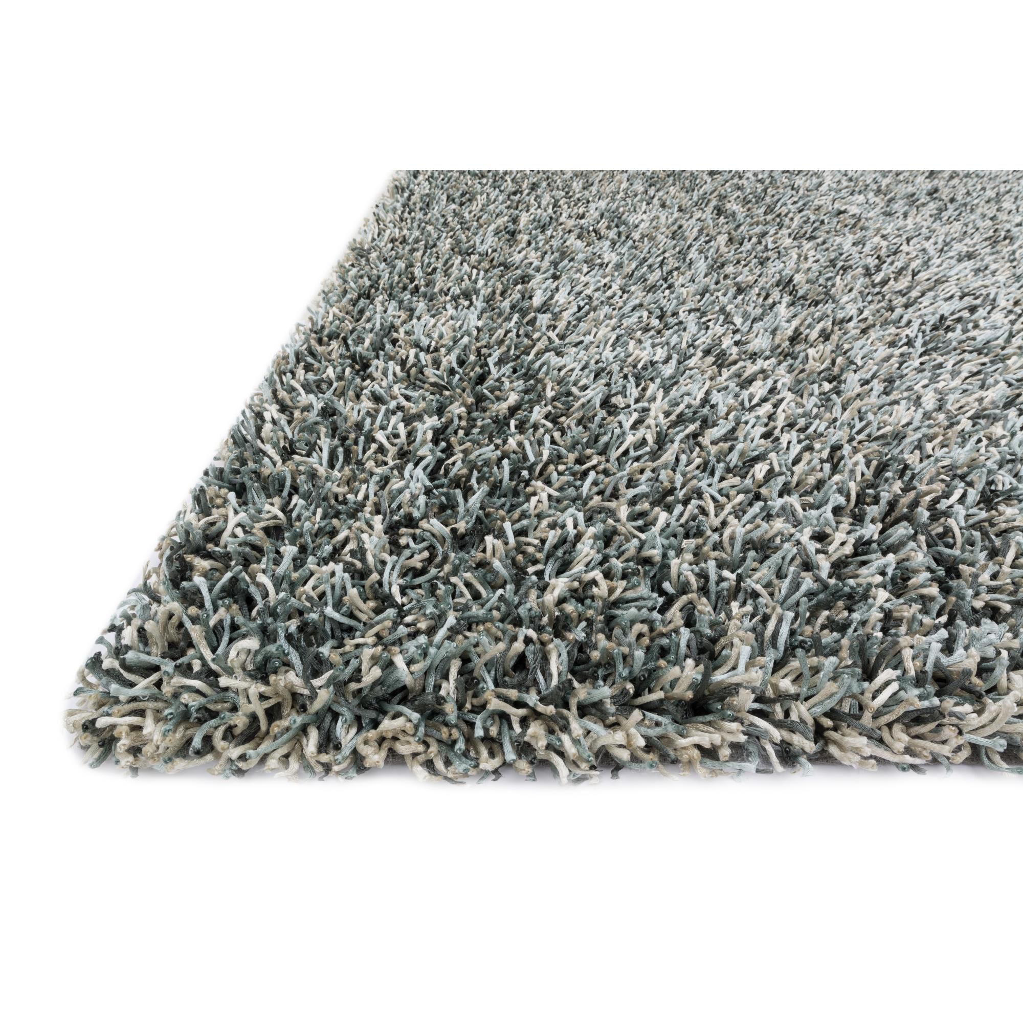 Carrera Shag Area Rug by Loloi Rugs