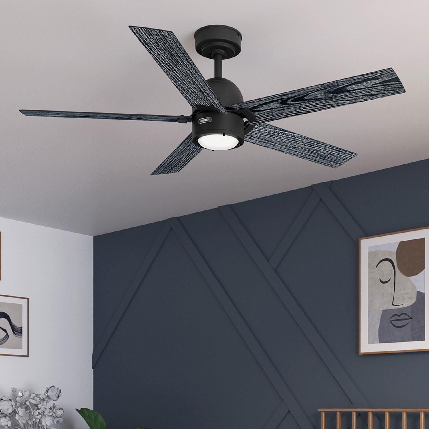 Erling 52 Inch Ceiling Fan by Hunter Fan
