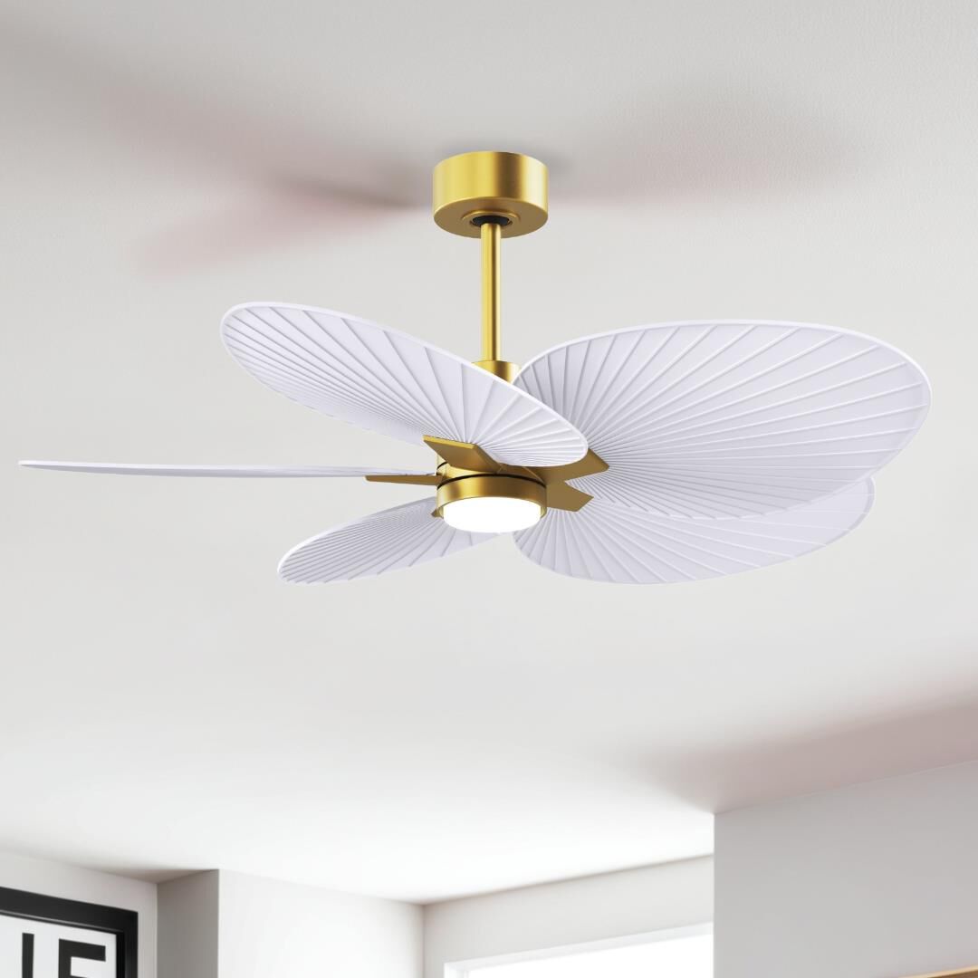 Shown in Brushed Brass finish