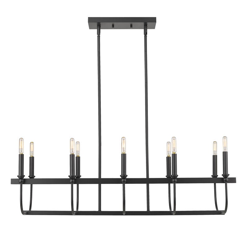 Beckett 40 Inch 10 Light Linear Suspension Light by Acclaim Lighting