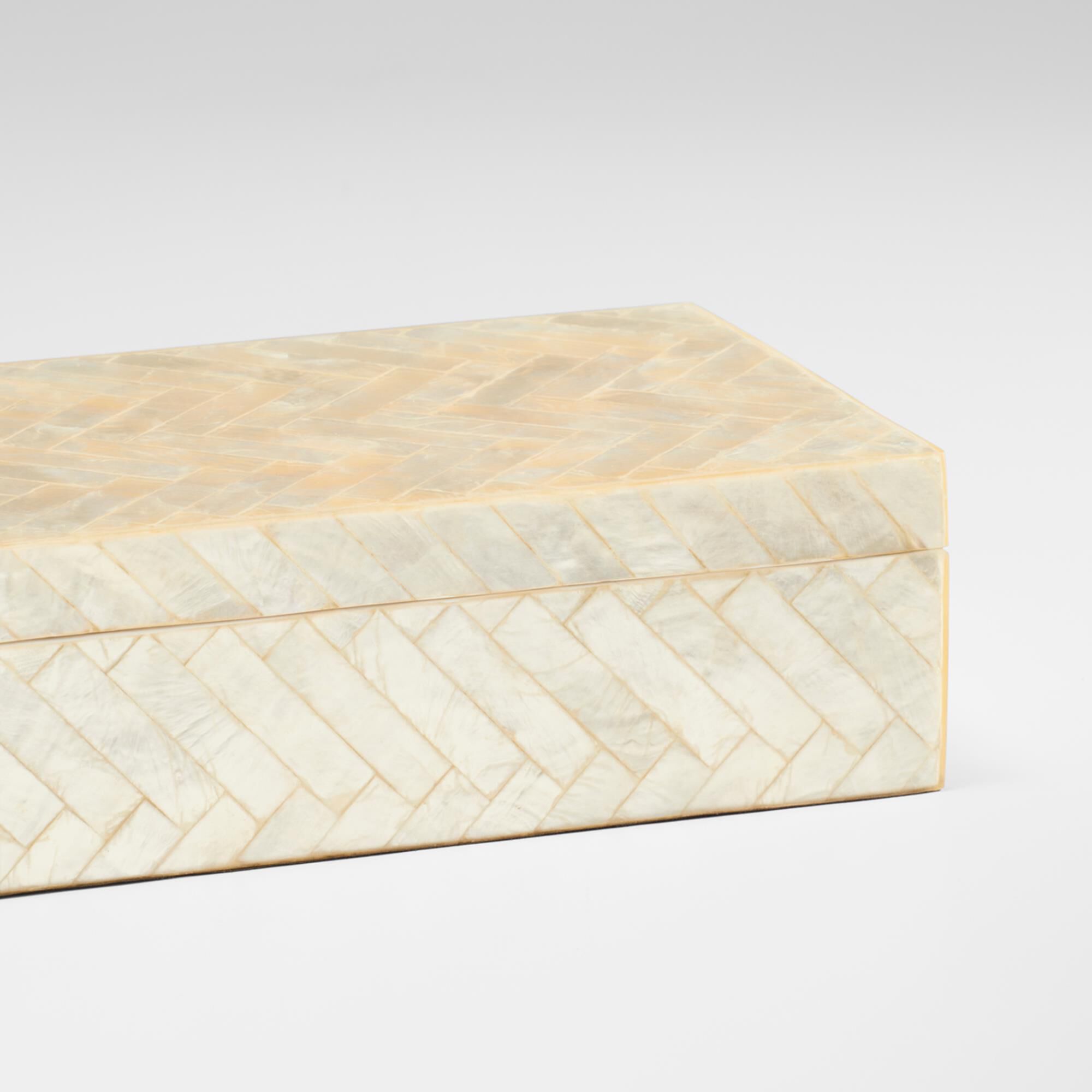 Triton 6 Inch Accent Box by Cyan Designs