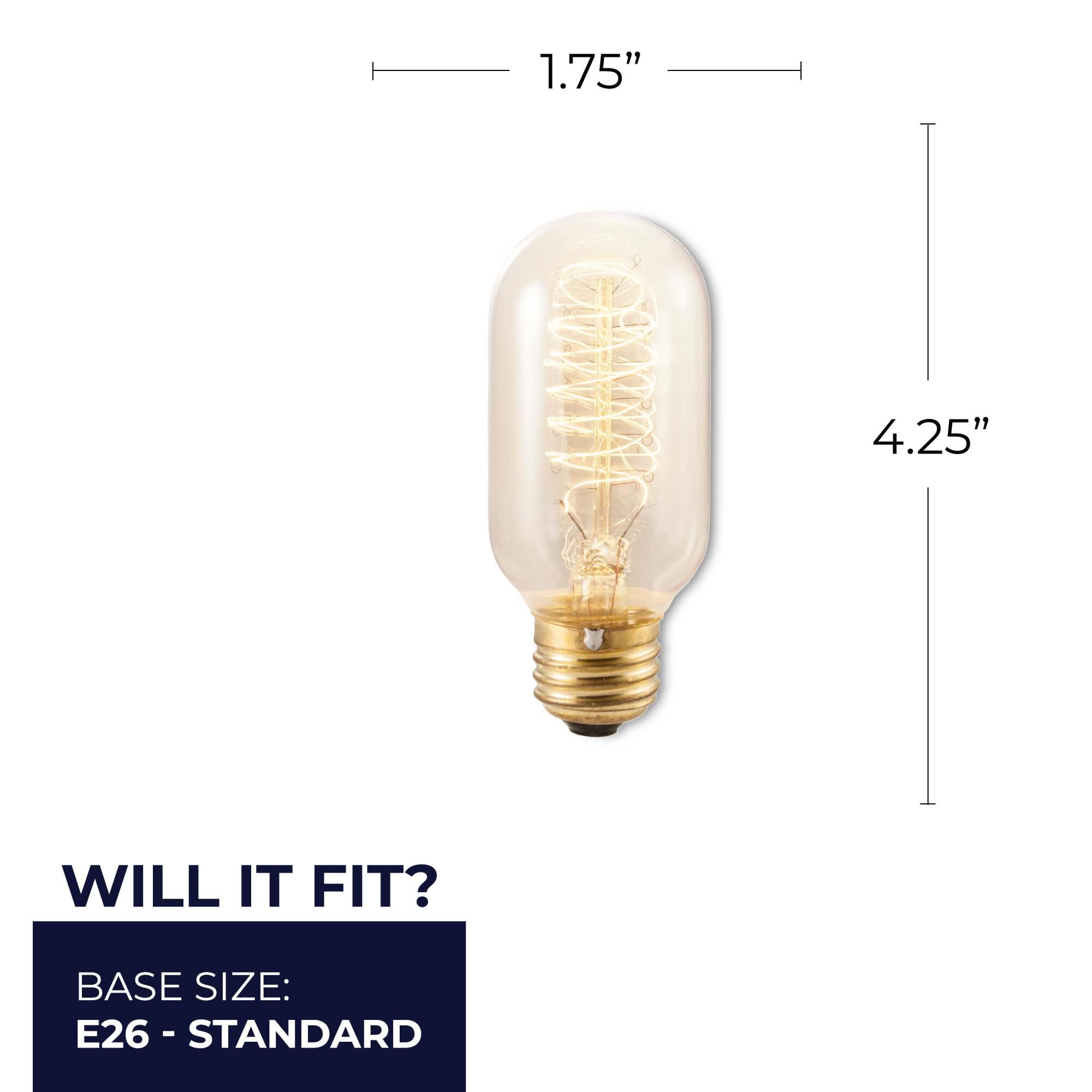 40 Watt 2200K T14 Incandescent Light Bulb,
