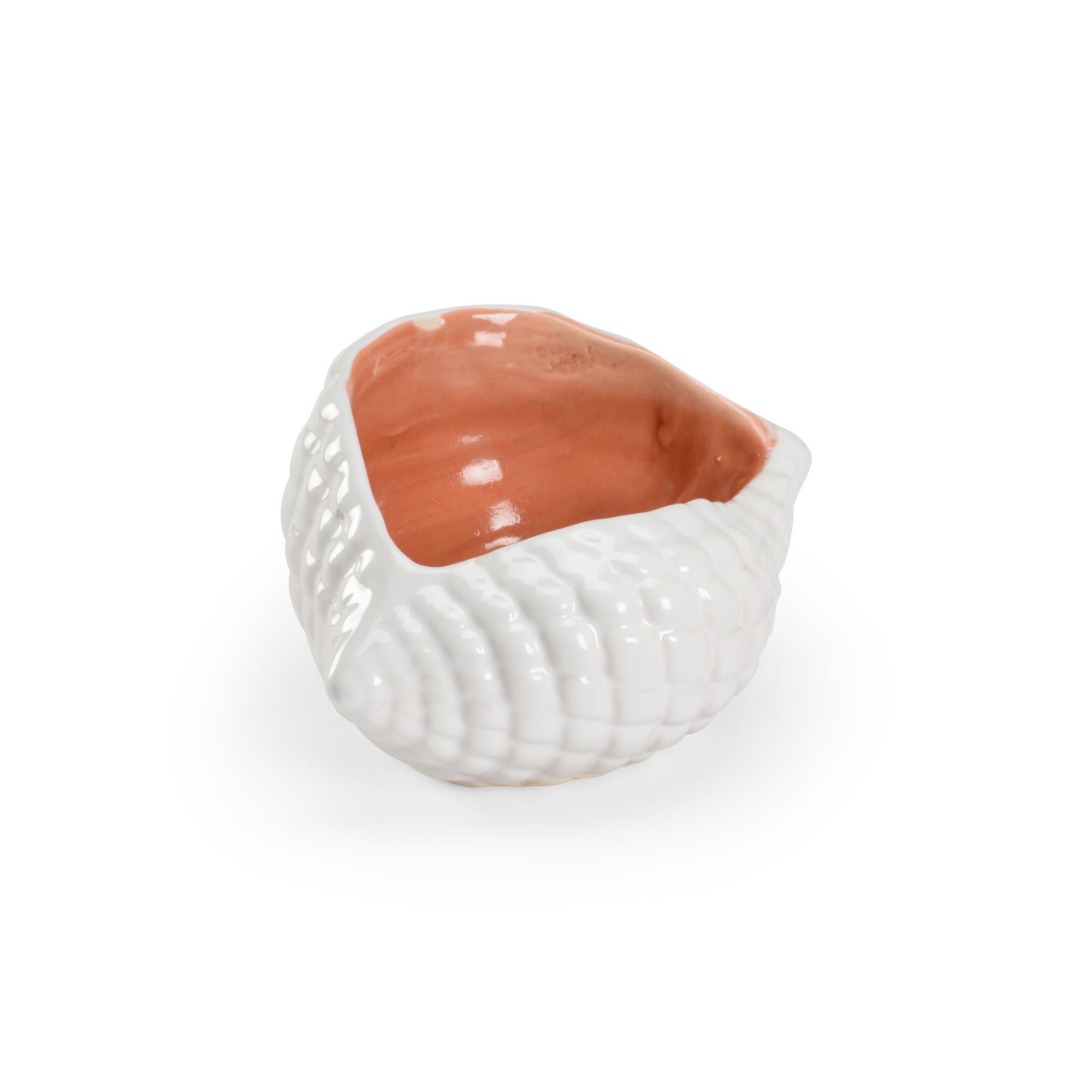 Andros Shell Bowl by Wildwood