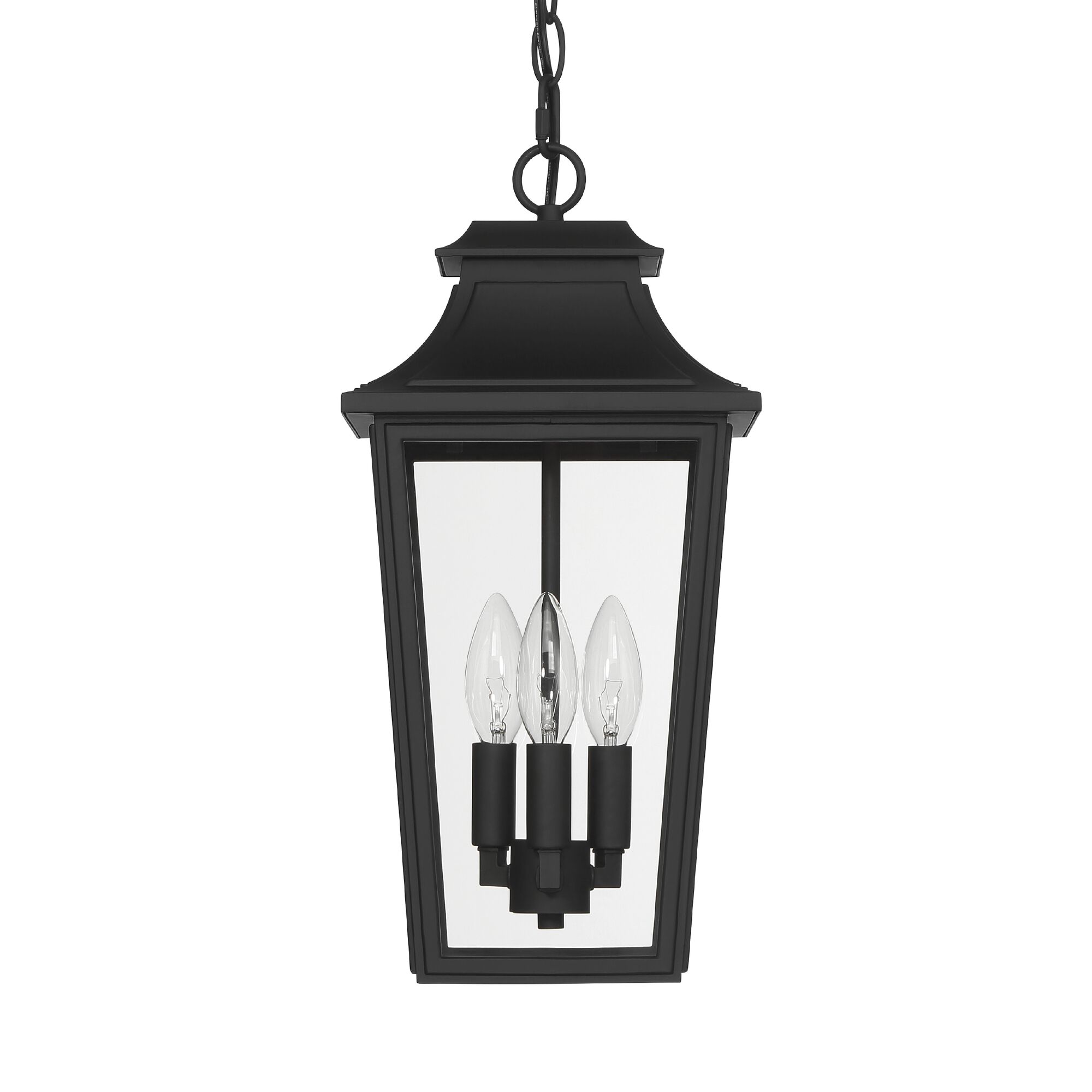 Spring Cove 16 Inch Outdoor Wall Light,