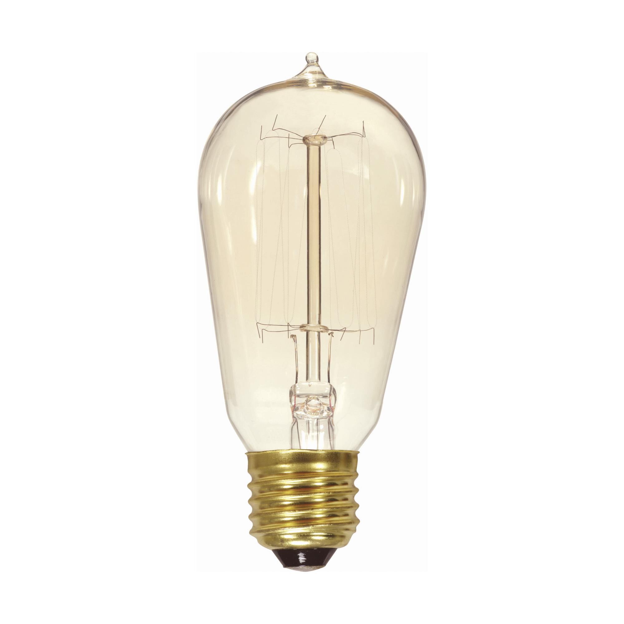 40 Watt Vintage Light Bulb by Satco