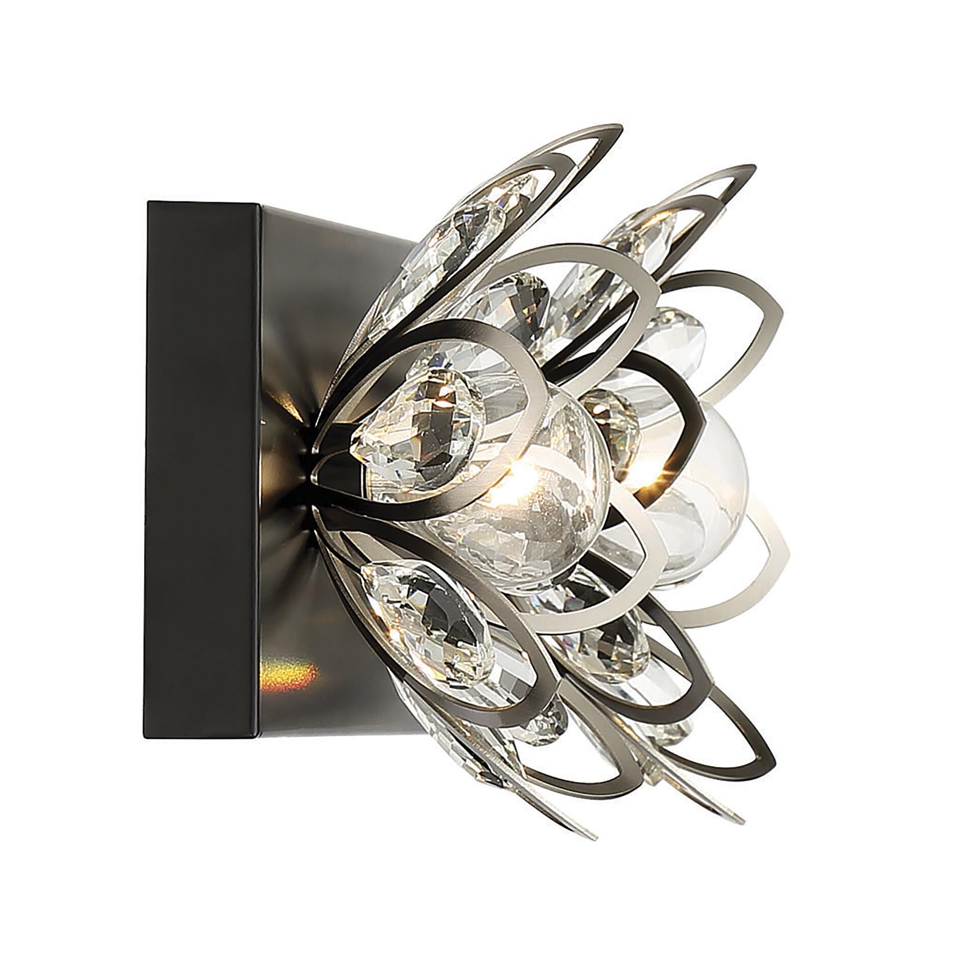 Poppy 15 Inch 2 Light Bath Vanity Light by Savoy House