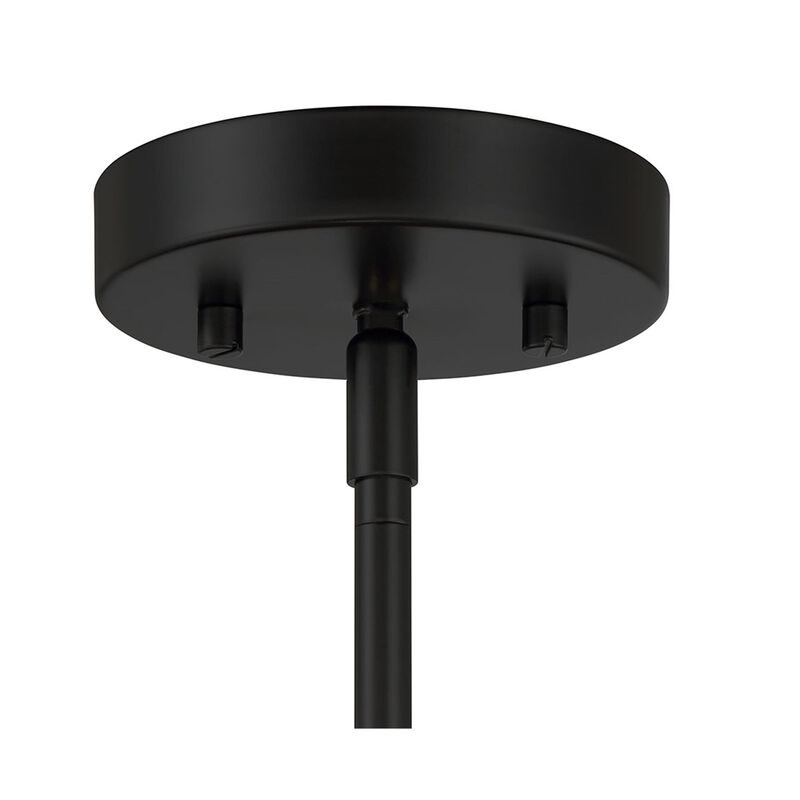 Hailie 14 Inch Pendant Light by Craftmade