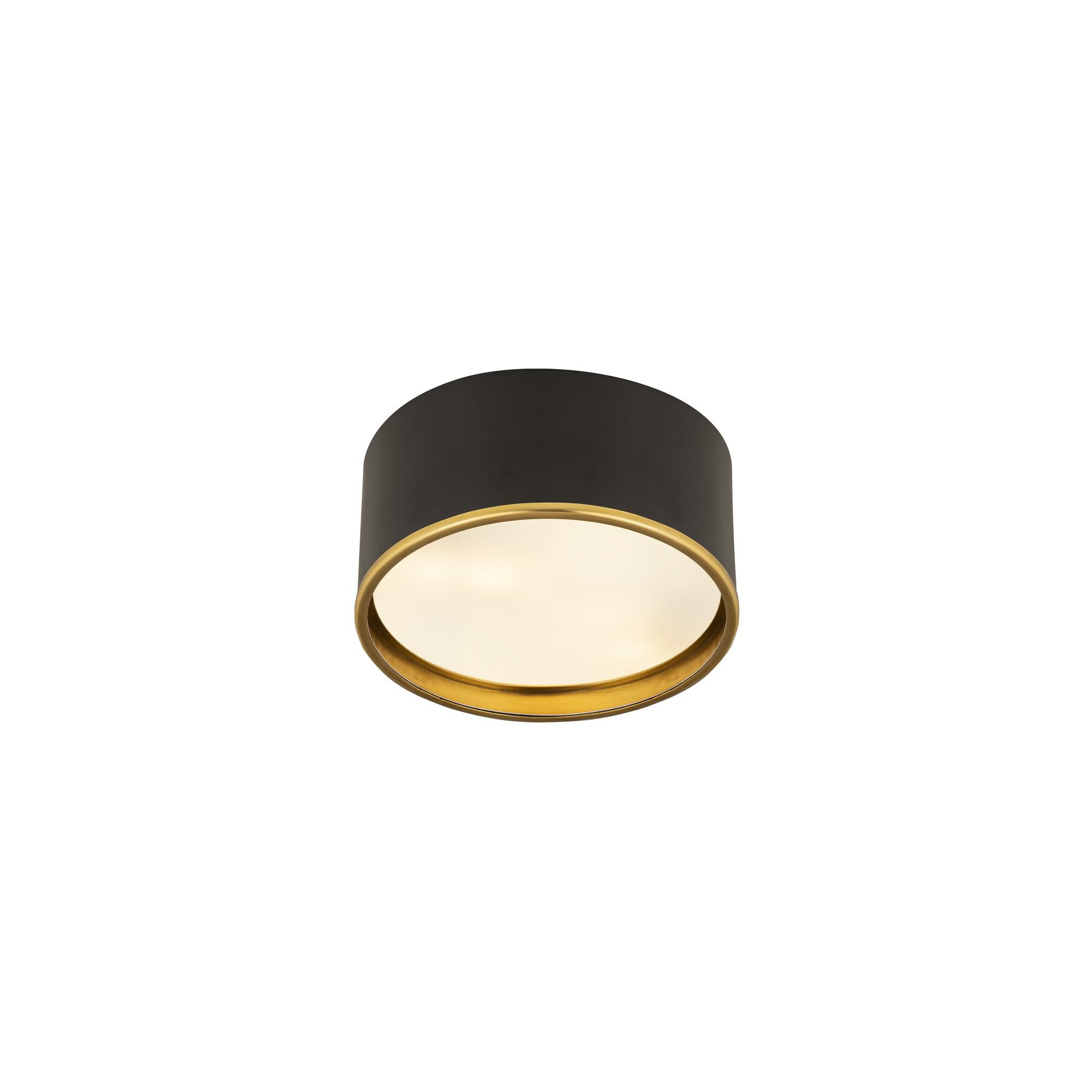 Shown in Matte Black And Rubbed Brass finish and Steel glass and Steel shade