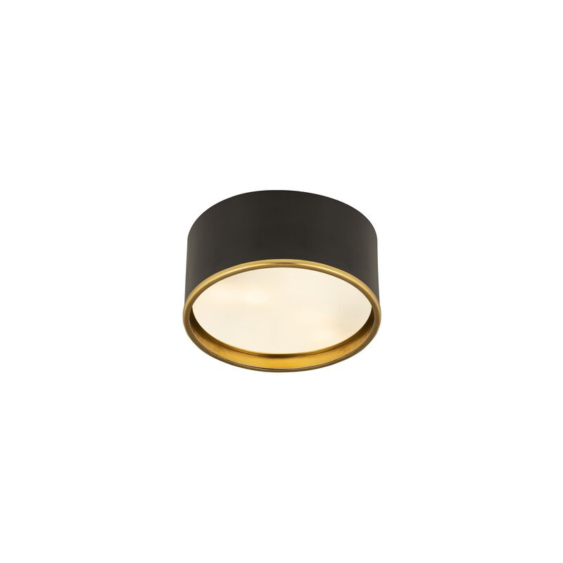 Arlo 12 Inch 2 Light Flush Mount by Z-Lite