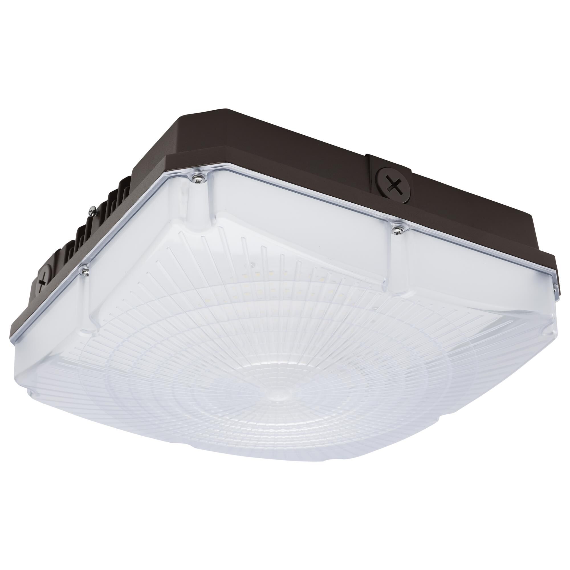 10 Inch Outdoor Flush Mount by Nuvo Lighting