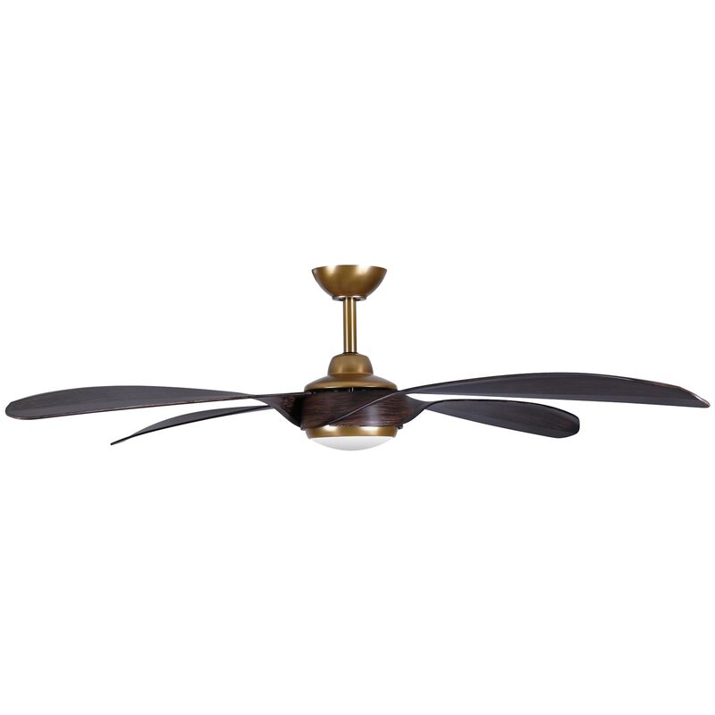 Mortyn 60 Inch Ceiling Fan with Light Kit by Minka Aire
