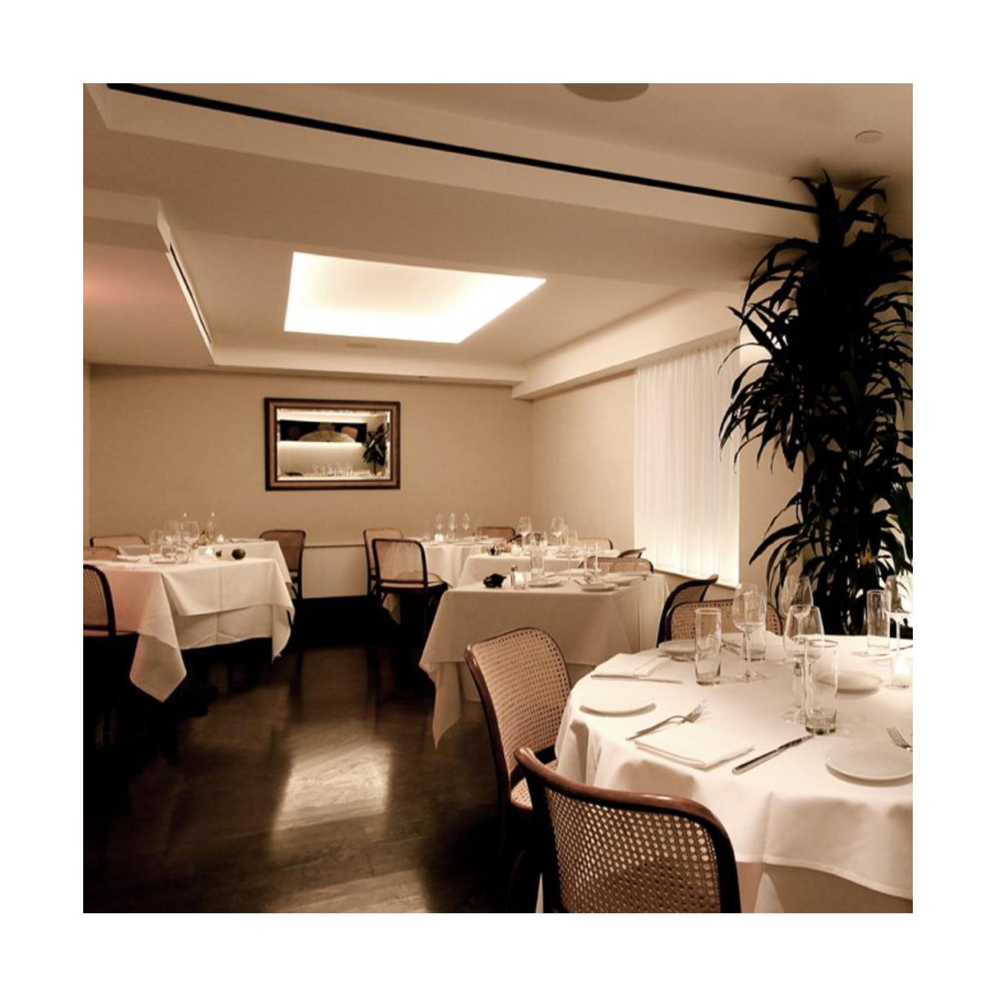 Invisiled 6 Inch LED Tape Light by WAC Lighting