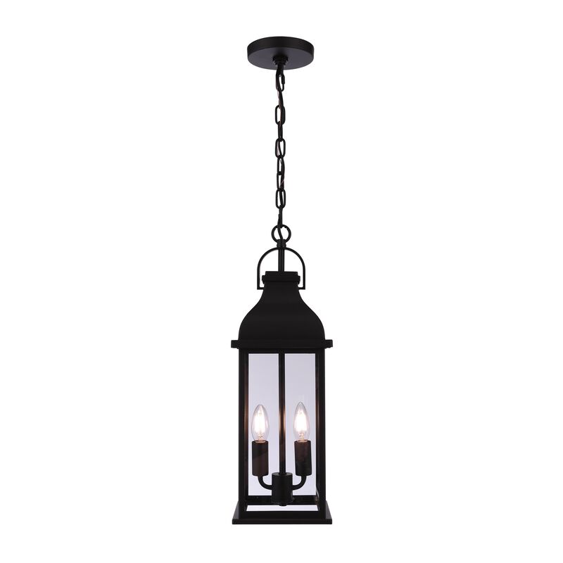 Bent Tree Medium Outdoor Hanging Lantern by Craftmade