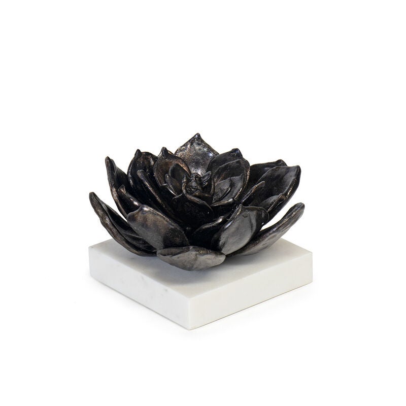 Succulent Sculpture by Regina Andrew