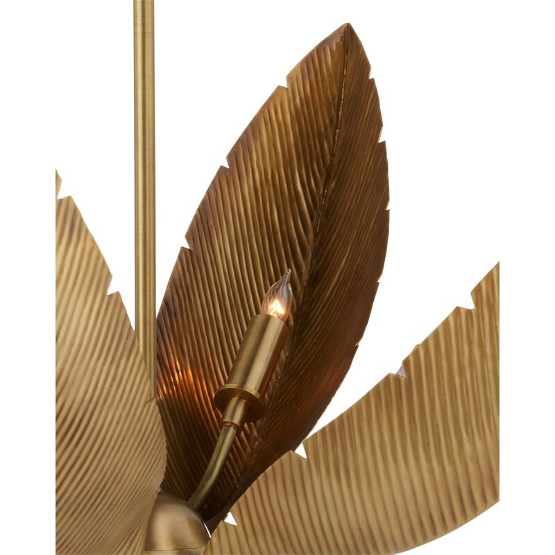 Bird Of Paradise 6 Light Chandelier by Currey and Company