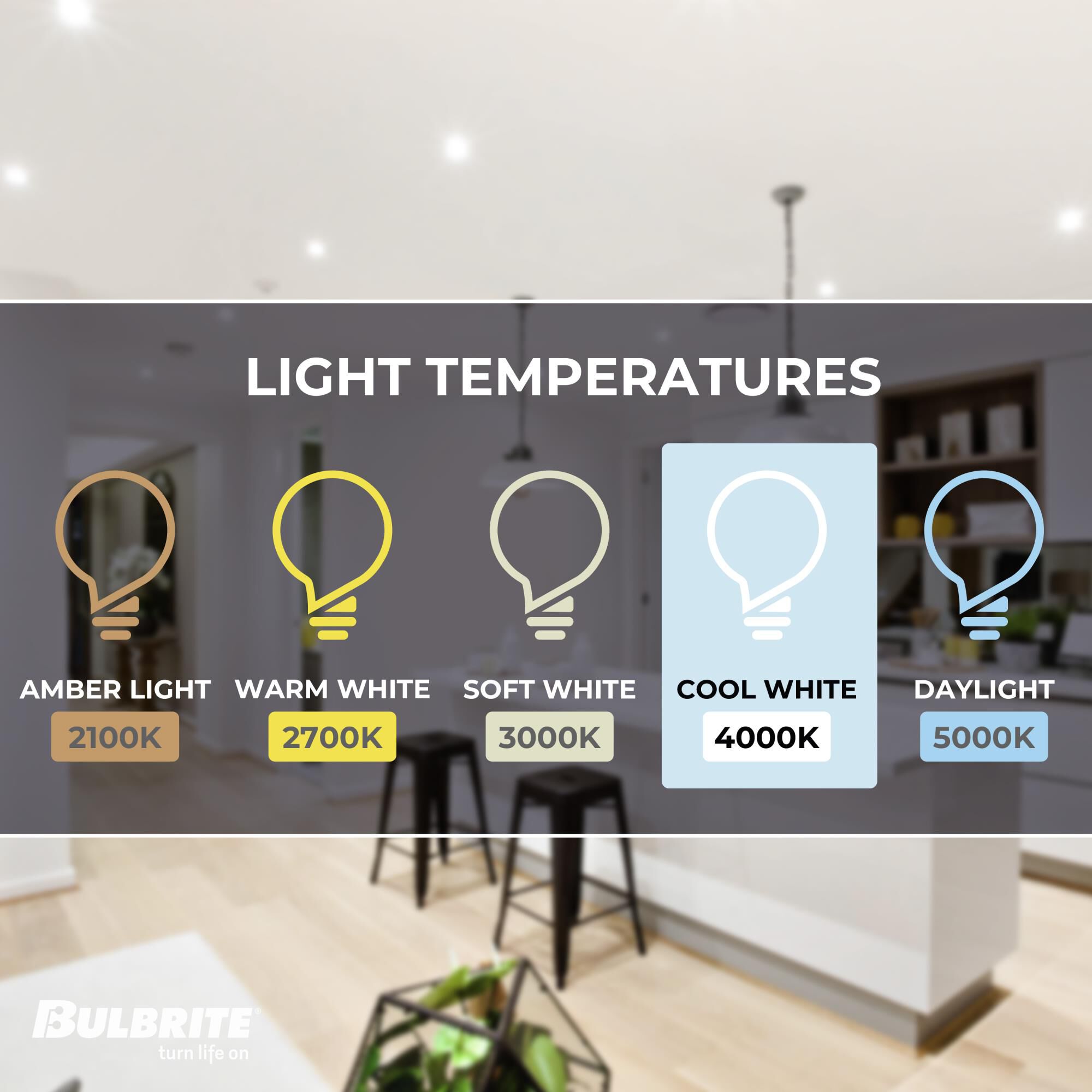 1 Inch LED 110 Degree Recessed Lighting Trim by Bulbrite